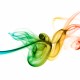 Spiritualität & Philosophie (22)