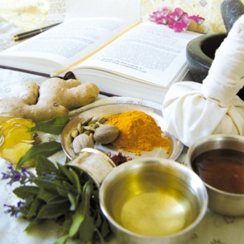 Ayurveda-Ausbildung